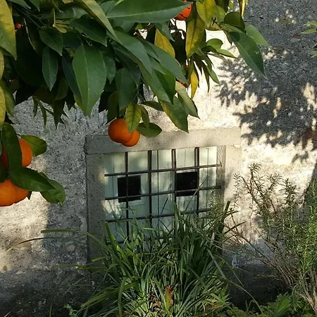 Casale Amati