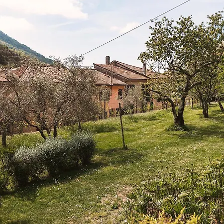 Casale Amati *