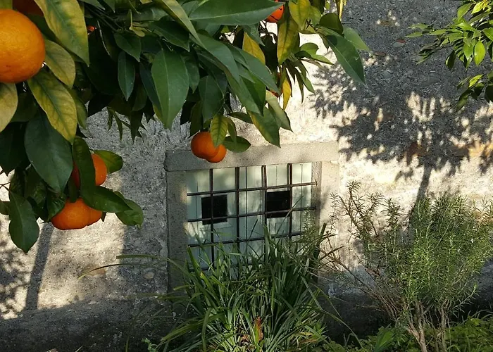 Casale Amati